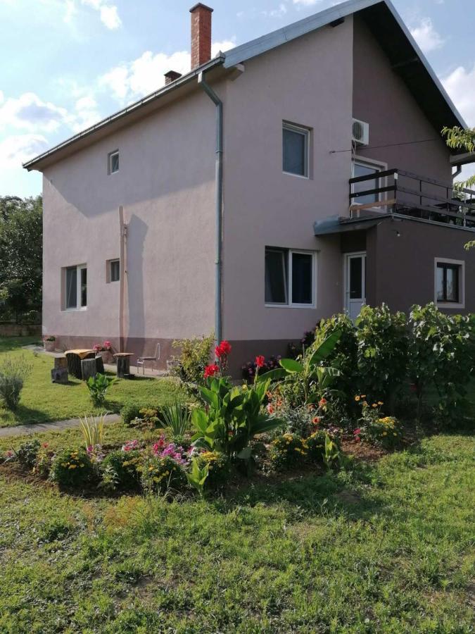 Apartmani Vidikovac Golubac Exterior photo